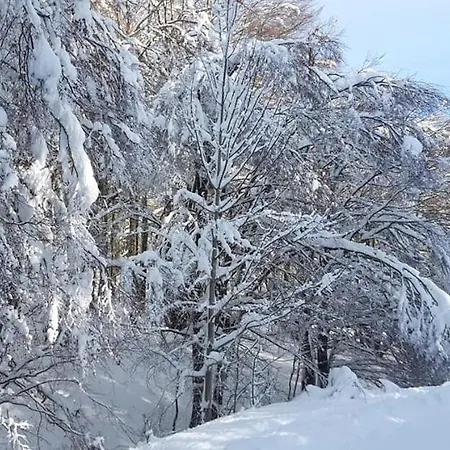 Vacanze Da Tiffany - Marmore Falls Terni