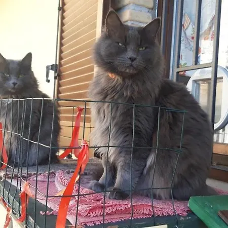 Vacanze Da Tiffany - Marmore Falls