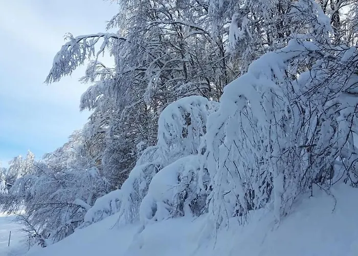 Appartamento Vacanze Da Tiffany - Marmore Falls