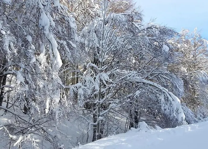 Vacanze Da Tiffany - Marmore Falls Terni