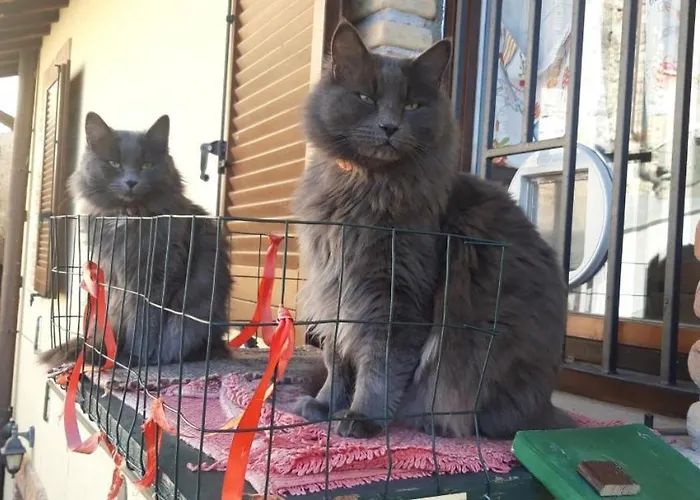 Vacanze Da Tiffany - Marmore Falls